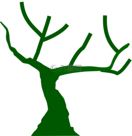 樹,分支機(jī)構(gòu),裸