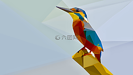 鳥,寧靜,翠鳥
