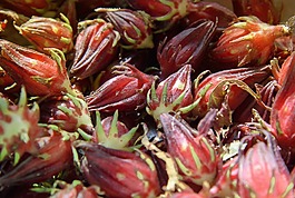 食品,新鮮,紅色