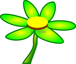 花,盛開,開花
