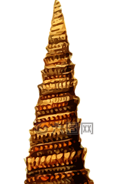 動(dòng)物,海灘,海洋