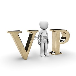 vip,重要,著名