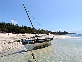 非洲,海洋,水
