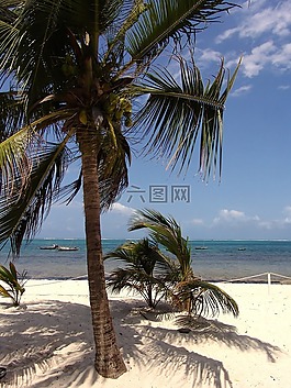 非洲,海灘,海洋