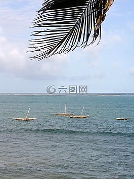 非洲,海洋,水