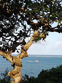 非洲,海洋,水