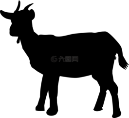 動物,山羊,自然