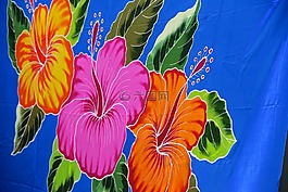 開花,花,性質(zhì)