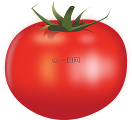 食品,番茄,蔬菜