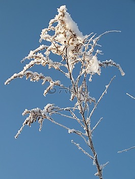 冬天,雪,冰