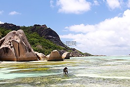 海,引导,塞舌尔