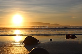 日出,海,海灘
