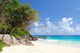 塞舌尔,海滩,美丽的海滩