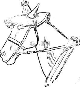 动物,拟人化的动物,衣服