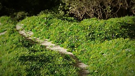 山,草,3d