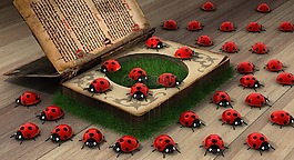 瓢虫,秘密,图书目录