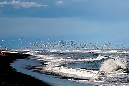 太平洋,濱,海灘
