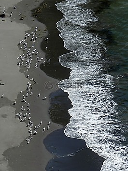 太平洋,濱,海灘