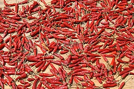 香料,辣椒,尖銳