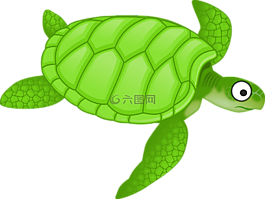 卡通,綠色,海