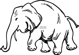 非洲,動物,象
