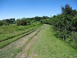 路徑,山,徒步旅行