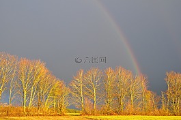 彩虹,樹木,天空