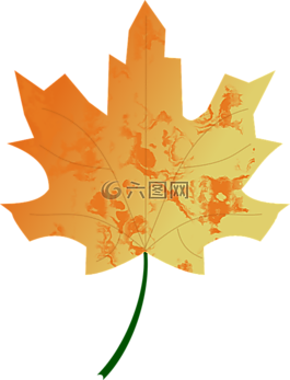 秋,顏色,秋天