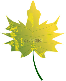 秋,顏色,秋天