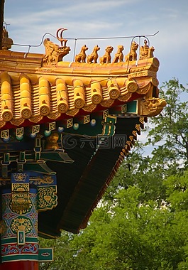 屋頂,中國,龍