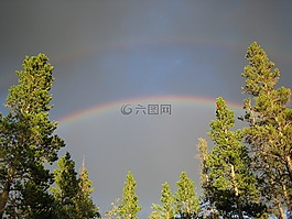 双彩虹,彩虹,树