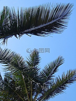 非洲,海洋,水