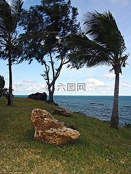 非洲,海洋,水