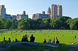中央公園,紐約市,曼哈頓