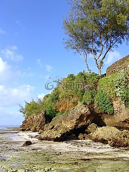 海岸,海灘,海