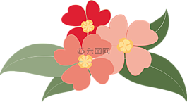 鲜花,植物,红色