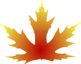 葉,楓,秋天