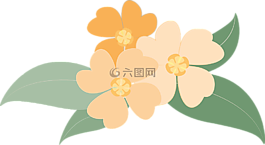 鮮花,植物,橙色