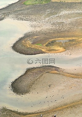 落潮,收集,海