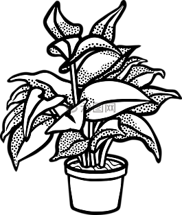 植物,鍋,盆栽