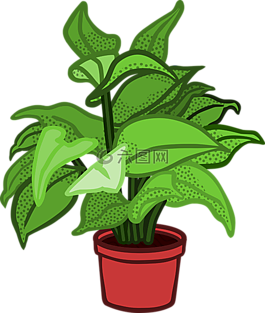 植物,鍋,盆栽