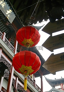 屋頂,中國,龍