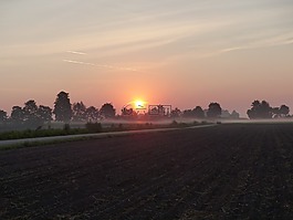 日出,霧,景觀