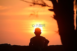 日落,剪影,abendstimmung