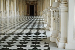 venaria,体系结构,历史
