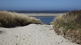 海灘,海,沙丘