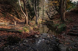 性質(zhì),和平,景觀