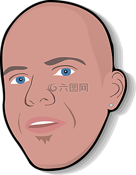 男子,光頭,頭