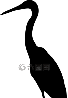 動(dòng)物,鳥,鷺