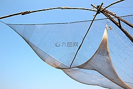 網(wǎng)絡(luò),魚,菲舍爾